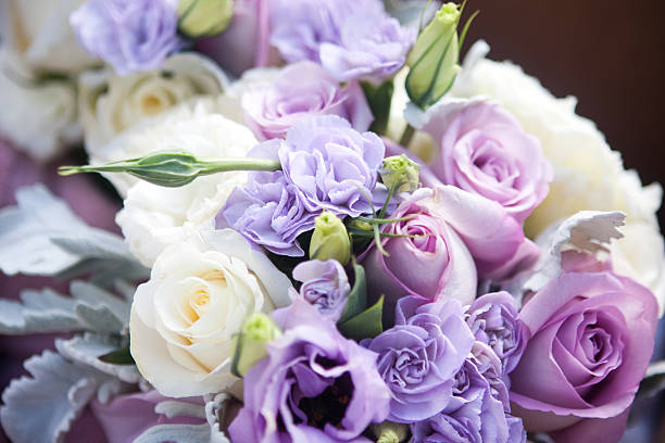 Purple Flowering Plants